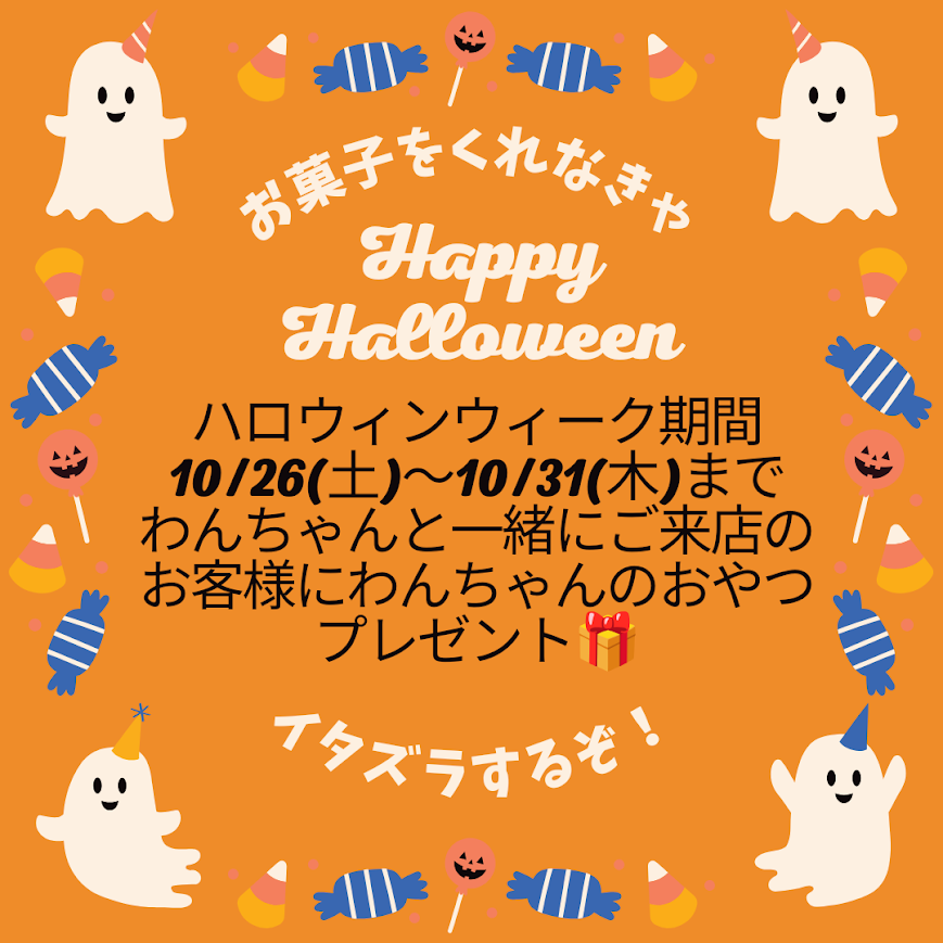 🎃ハロウィンウィーク開催🎃